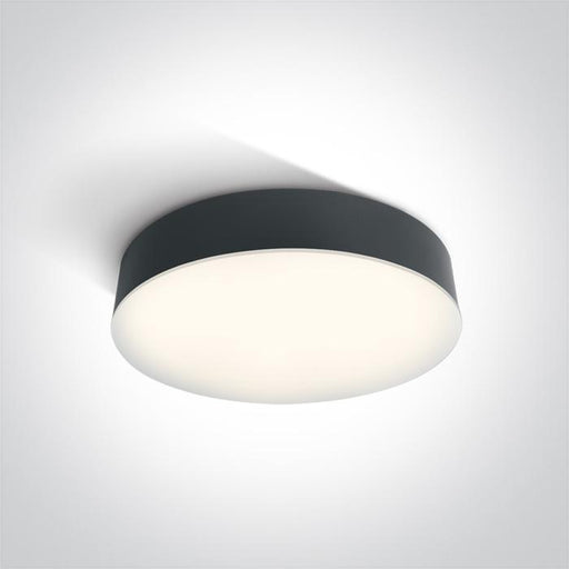 Ceiling Light Anthracite Circular Cool White LED Outdoor LED built in 1300lm 21W ABS One Light SKU:67390/AN/C - Toplightco