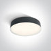 Ceiling Light Anthracite Circular Cool White LED Outdoor LED built in 1300lm 21W ABS One Light SKU:67390/AN/C - Toplightco