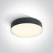 Ceiling Light Anthracite Circular Warm White LED Outdoor LED built in 1300lm 21W ABS One Light SKU:67390/AN/W - Toplightco