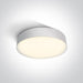 White Led Ceiling Light 21w Cool White Ip65 230v - Toplightco