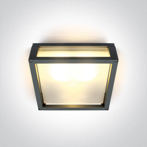 Wall & Ceiling Light Anthracite Rectangular Outdoor Replaceable lamp 2X12W Die Cast One Light SKU:67420B/AN - Toplightco