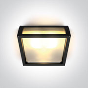 Wall & Ceiling Light Black Rectangular Outdoor Replaceable lamp 2X12W Die Cast One Light SKU:67420B/B - Toplightco