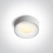 Wall & Ceiling Light White Circular Warm White LED Dimmable Outdoor LED built in 480lm 6W Die Cast One Light SKU:67484/W/W - Toplightco