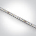 LED Strip Rectangular Daylight LED Dimmable Outdoor 1030lm/m Silicone One Light SKU:7835W/D - Toplightco