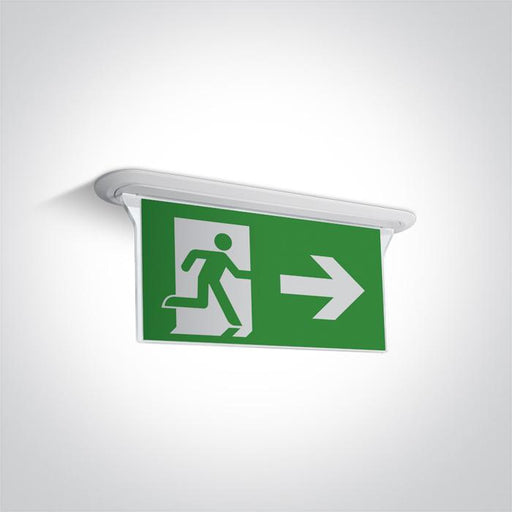 Emergency Light White Rectangular LED built in 1W Plastic One Light SKU:89406R/W - Toplightco