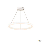 One 60 Pd Dali Up/down, Indoor Led Pendant Light White Cct Switch 2700/3000k - Toplightco