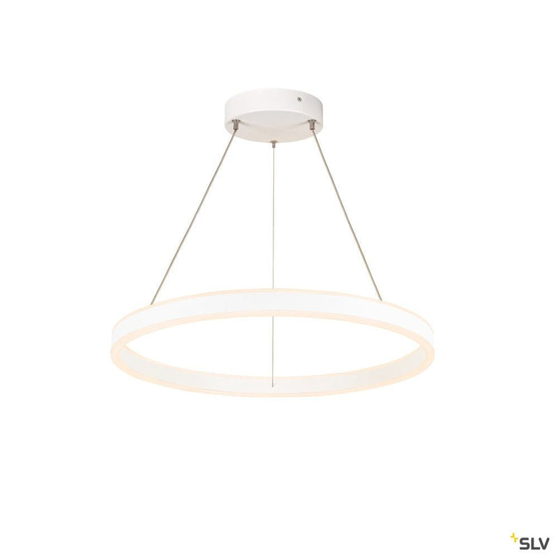 One 60 Pd Dali Up/down, Indoor Led Pendant Light White Cct Switch 2700/3000k - Toplightco