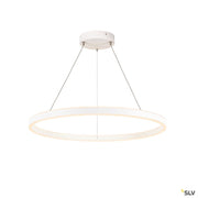 One 80 Pd Dali Up/down, Indoor Led Pendant Light White Cct Switch 2700/3000k - Toplightco