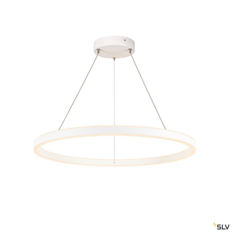 One 80 Pd Dali Up/down, Indoor Led Pendant Light White Cct Switch 2700/3000k - Toplightco