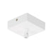 SLV 210061 Ceiling plate GLENOS, matt white, 8.5x8.5x2.7cm, with strain relief - Toplightco