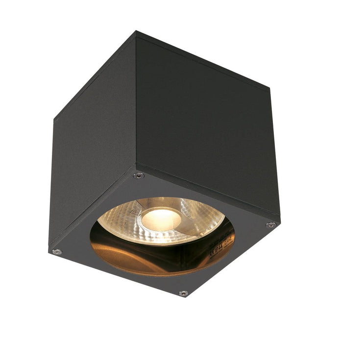 SLV 229565 BIG THEO WALL OUT wall light, square, anthracite, ES111, max. 75W - Toplightco