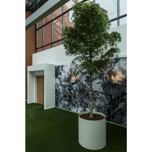 SLV 1000422 SHELL 15, WL, LED Indoor surface-mounted wall light, 3000K, white - Toplightco