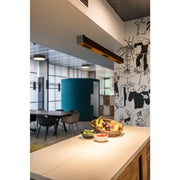 SLV 1000926 Q-LINE PD, LED indoor pendant, 1m, BAP, white, 3000K - Toplightco