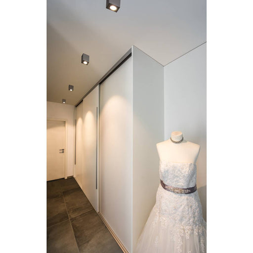 SLV 1002004 TRILEDO Single, Indoor surface-mounted ceiling light, GU10, brushed aluminium, max 10W - Toplightco