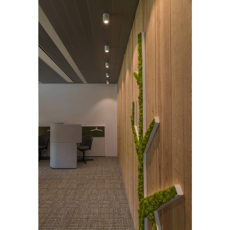 SLV 1002011 TRILEDO CL, indoor surface-mounted ceiling light, GU10, white, max 10W - Toplightco