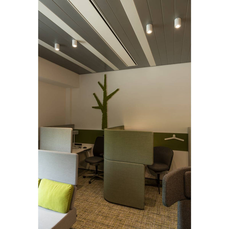 SLV 1002011 TRILEDO CL, indoor surface-mounted ceiling light, GU10, white, max 10W - Toplightco