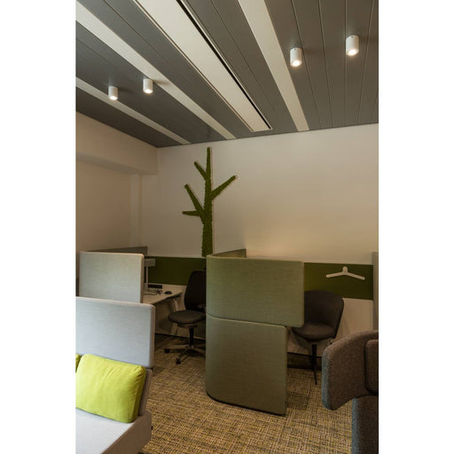 SLV 1002011 TRILEDO CL, indoor surface-mounted ceiling light, GU10, white, max 10W - Toplightco