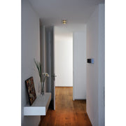 SLV 111382 NEW TRIA II ES111 downlight, rectangular, alu brushed, GU10 , max. 2x75W, incl. clip - Toplightco