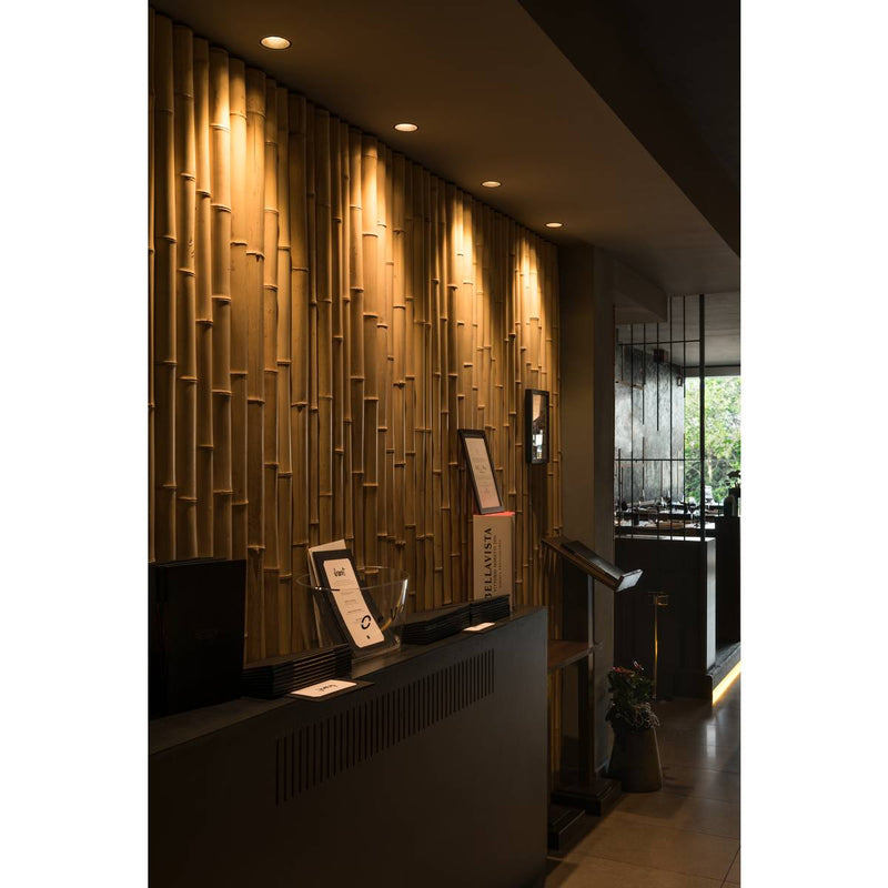 SLV 113160 HORN-O GU10, steel, 1x GU10 max. 50W, matt black, IP21, incl. clip springs - Toplightco