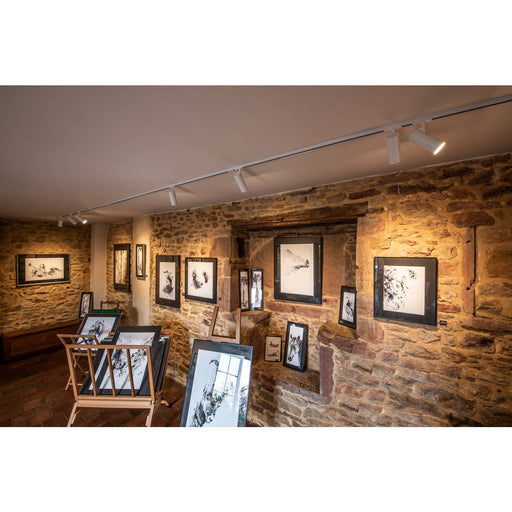 SLV 143581 HELIA 50 LED Spot for 1-Circuit Track Light Systemase High-voltage Tracksystem, 3000K, white, 35°, incl. 1 Phase adapter - Toplightco